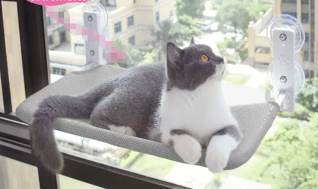 Cat Suction Cup Window Glass Hammock Pet Cat/ Hamaca con ventosa para ventana de cristal para mascotas, gatos y mascotas