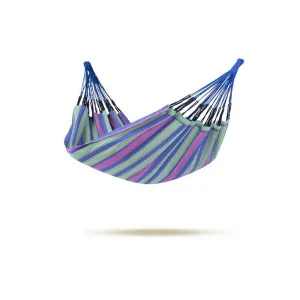 Cuba Blueberry Hammock