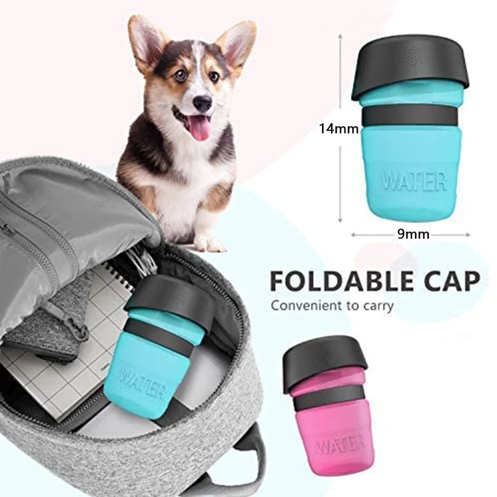 Portable Water Bottle