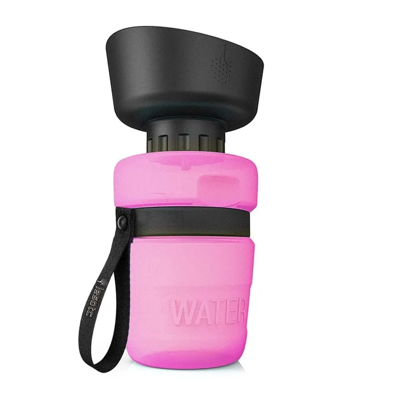 Portable Water Bottle