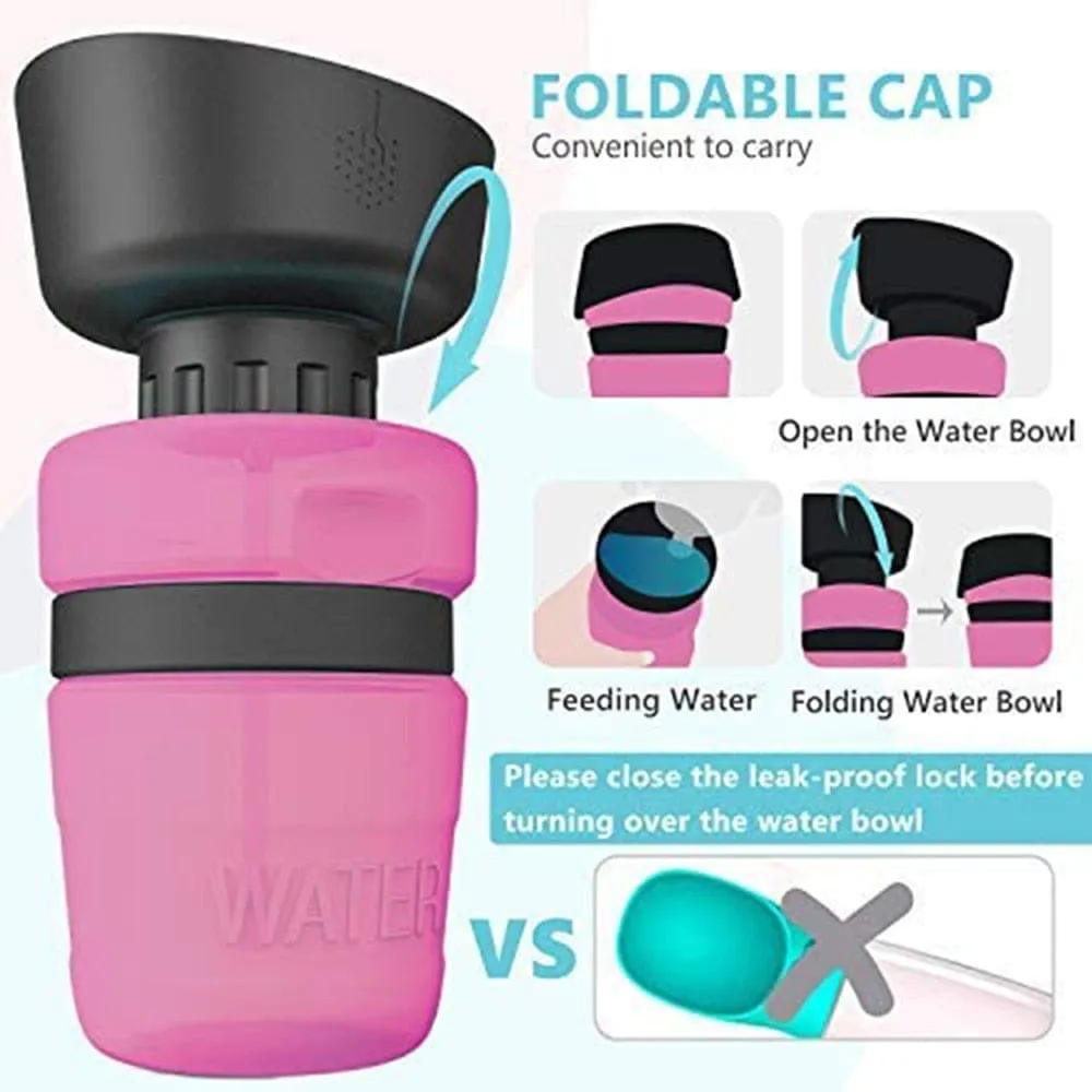 Portable Water Bottle
