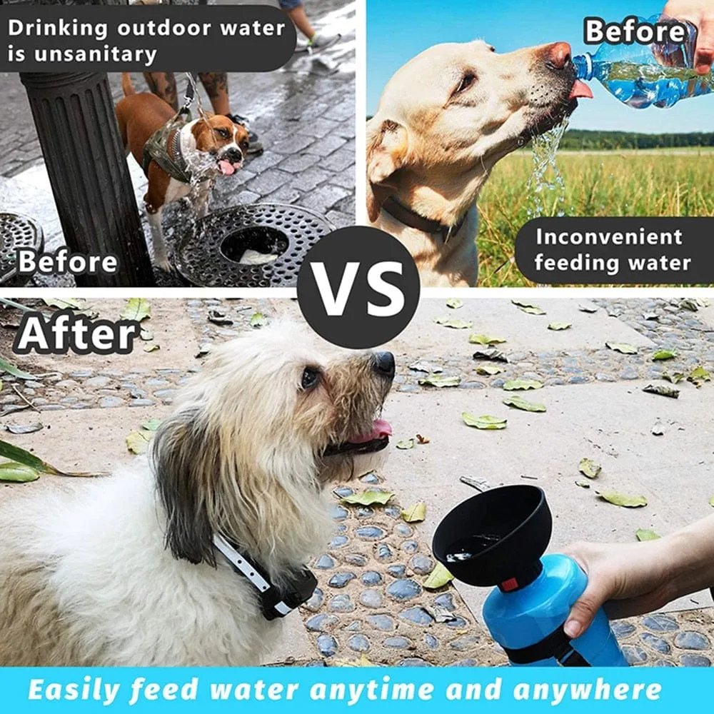 Portable Water Bottle
