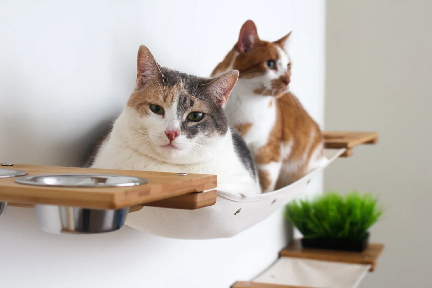The Bunker Cat Condo - Large Perch Cat Tree