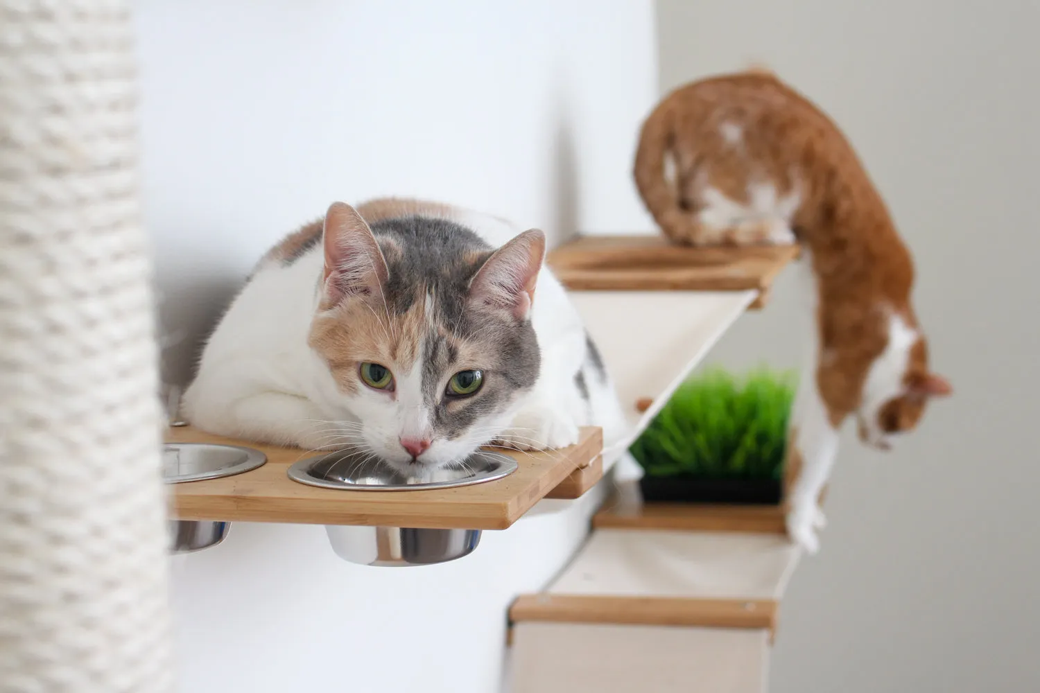 The Bunker Cat Condo - Large Perch Cat Tree